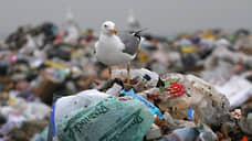 На Ямале ликвидировали незаконные свалки общей площадью 740 кв. м