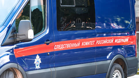 Бастрыкин запросил доклад по факту истязания отцом своей дочери в Екатеринбурге