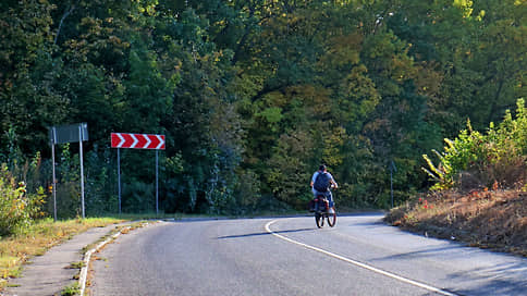 Депутаты запретили уральцам собирать валежник на обочинах Свердловской области