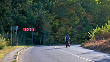 Депутаты запретили уральцам собирать валежник на обочинах Свердловской области