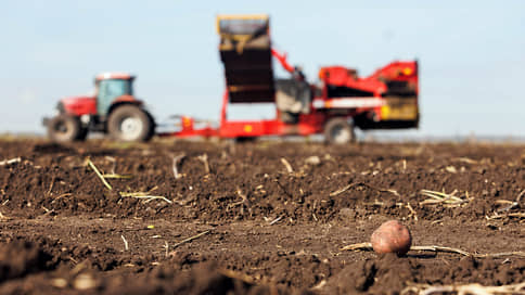 В регионах УрФО завершили уборку зерна, картофеля и овощей