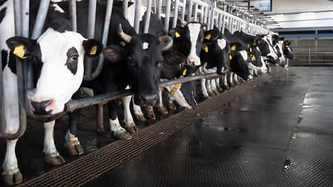 В Свердловской области постоят новую молочную ферму на 3,6 тыс. коров