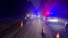 Водитель Suzuki насмерть сбил 83-летнюю пенсинерку в Екатеринбурге