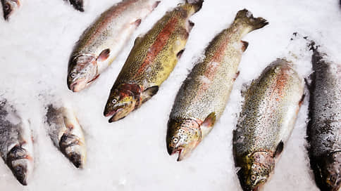 Из Свердловской области в ОАЭ с начала года отправили 7,7 тонны рыбной продукции