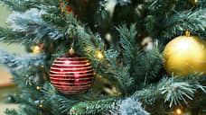 Мэр Екатеринбурга: о запрете на украшение подъездов к Новому году речи не идет