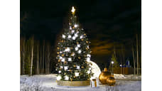 Свердловчане смогут приобрести живую ель на Новый год с 16 декабря