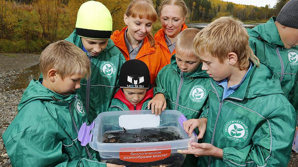 19 сентября сотрудники экологической службы ЗАО «Золото Северного Урала» (дочернее предприятие компании «Полиметалл») и дети из экологического отряда школы поселка Воронцовка (г. Краснотурьинск, Свердловская область) выпустили в реку Какву 3 тыс. мальков стерляди