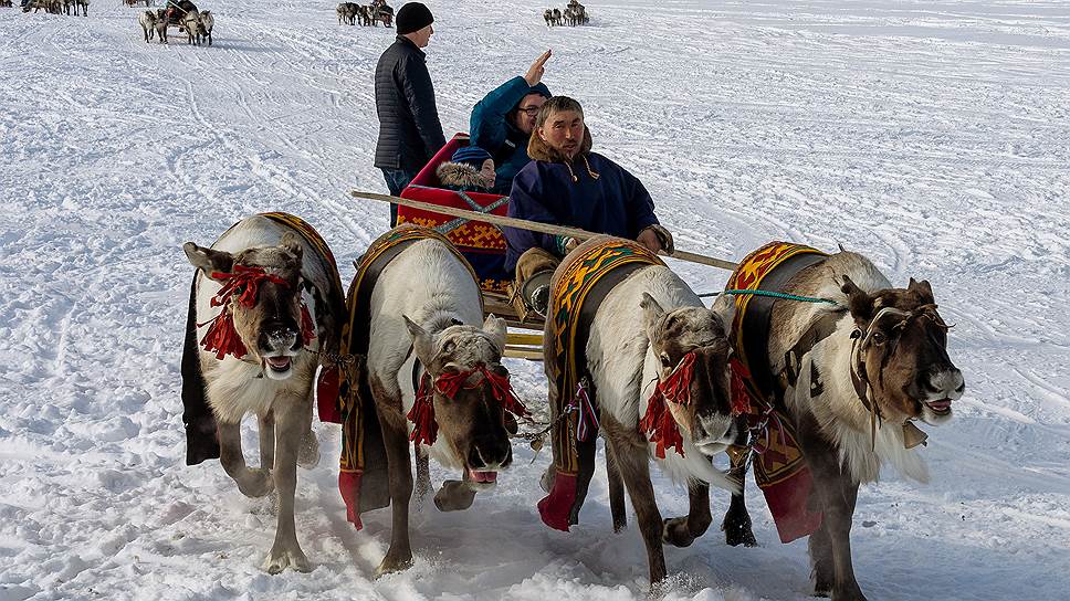 День оленевода в Салехарде (Ямало-Ненецкий автономный округ).  