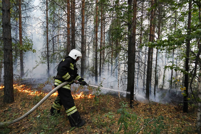 Тушение лесного пожара в окрестностях горы Волчихи.

