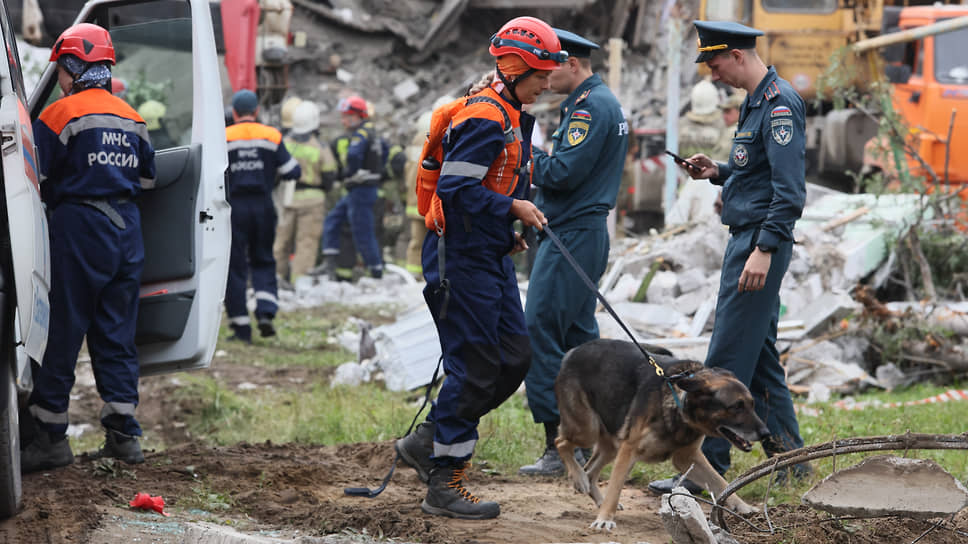 Собаки помогают с поиском людей под завалами. Периодически спасатели объявляют пять минут тишины, чтобы услышать, есть ли выжившие