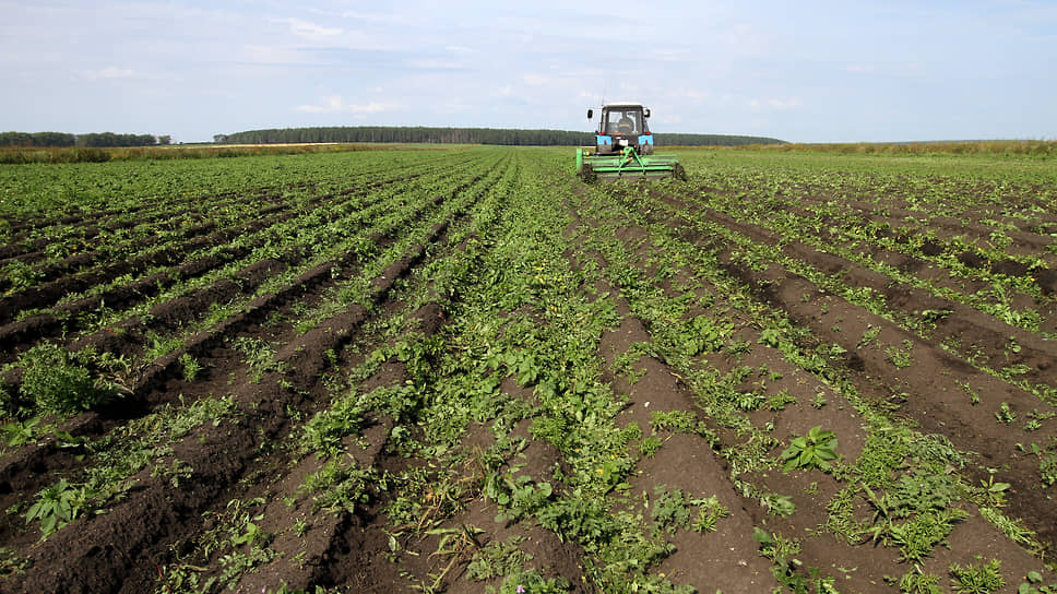 Трактор в поле