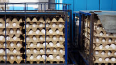 «Усилия не позволили избежать чрезвычайной ситуации»