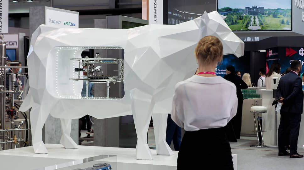 Саудовская Аравия может проявлять инвестиционный интерес к производству медоборудования, фармацевтике, образовательным проектам и машиностроению