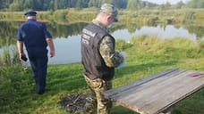 Двое взрослых и ребенок  утонули в пруду в Удмуртии