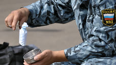 13 связанных с наркотиками растительного происхождения преступлений выявили в Удмуртии