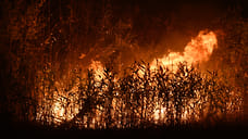 За минувшие сутки два пожара произошли в лесах Удмуртии