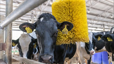 В Удмуртии сумма заявок на получение гранта «Агростартап» составила 365 млн рублей