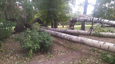 Глава Ижевска: к утру рабочего дня планируется ликвидировать последствия непогоды