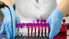 228 новых случая заражения COVID-19 выявили в Удмуртии