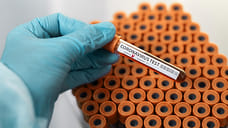 228 жителей Удмуртии заразились COVID-19