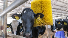 22 жителя Удмуртии получат гранты на развитие агростартапов до конца сентября