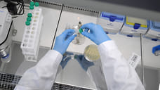 30 человек скончались от коронавируса за сутки