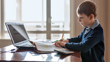 Образовательные учреждения Удмуртии перейдут на дистанционное обучение с 8 ноября до особого распоряжения