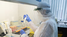 397 новых случаев заражения COVID-19 выявили в Удмуртии