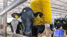 На развитие фермерских хозяйств Удмуртии дополнительно поступит 30,1 млн рублей