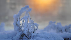 Похолодание до -19°С и гололедица ожидаются в Удмуртии на этой неделе