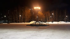 В Ижевске начали устанавливать новогоднюю елку на Центральной площади