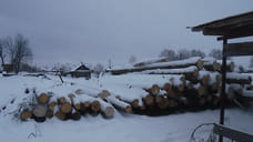 В Удмуртии задержали подозреваемого в незаконной рубке елей почти на 9 млн рублей