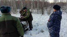 Браконьеру в Удмуртии грозит штраф 120 тысяч рублей за незаконную добычу косули