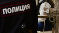 Жителя Удмуртии подозревают в попытке изнасиловать 18-летнюю девушку в лесу