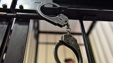 В Удмуртии по подозрению в мошенничестве задержали участников межрегиональной группы лжеэлектриков