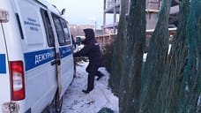 В Ижевске на елочном базаре незаконно продавали новогодние деревья
