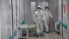 В Удмуртии не зарегистрировано случаев заражения омикрон-штаммом коронавируса