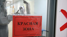 В Удмуртии работодателей просят отправить на удаленку максимально возможное количество сотрудников