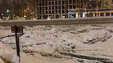 В Ижевске вырубили сквер под строительство нового здания Арбитражного суда Удмуртии