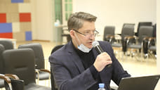 В бюджете Ижевска на 2022 год заложены средства на проект паспортизации зеленых насаждений