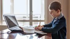 В Удмуртии мошенники использовали подростков для хищения денег с карт их родителей