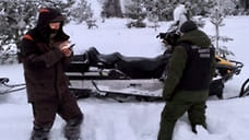 В Удмуртии при проведении геодезических работ обнаружили тело пропавшего мужчины