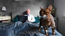 Жители Ижевска стали обращаться к психологам на 423% чаще в 2021 году