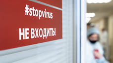 В Удмуртии до конца февраля приостановили плановую амбулаторную помощь и диспансеризацию