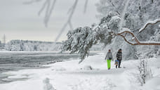 Небольшой снег и температурный фон выше климатических норм ожидаются в Удмуртии