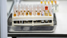 684 протокола составили в Удмуртии на вернувшихся в страну и не сдавших теста на COVID-19 жителей