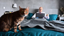 Сотрудники на «удаленке» есть в 50% компаний Ижевска