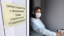 16,5 тысяч жителей Удмуртии заразились ОРВИ за неделю