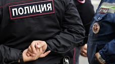 В Ижевске полицейские задержали мужчину за нападение на сотрудников супермаркета с ножами