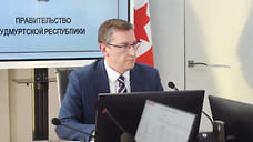 Запасы мяса курицы, чая и кофе увеличены в Удмуртии